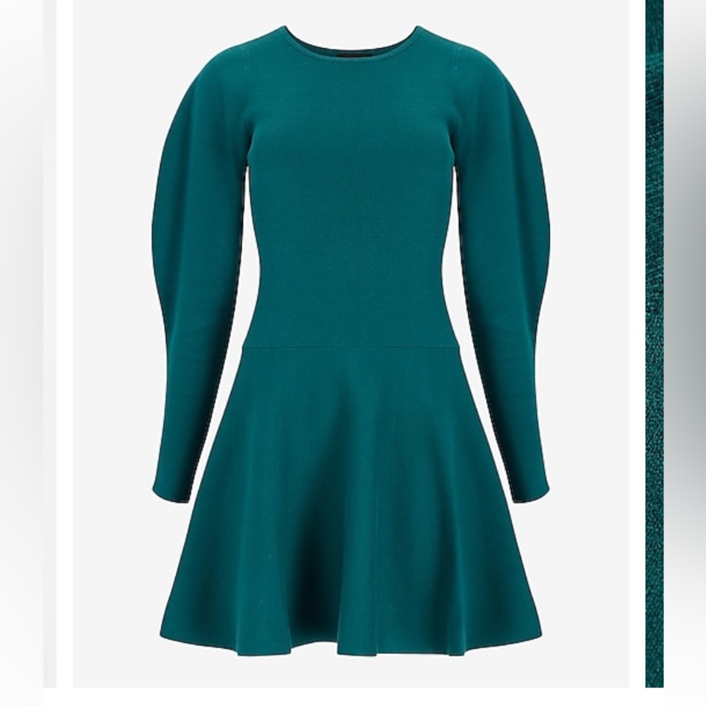 Express Sweater dress
